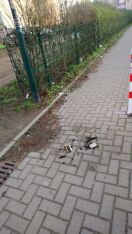 Foto: zerbrochene Flaschen und Glas auf dem Weg 